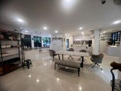 Leedon Park (D10), Detached #497433521
